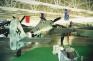 WT_fw190champlinmus.jpg (2520 )