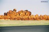 Wall of Fire
