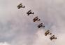 Stampe-Team