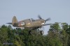 P-40