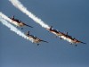 Los Halcones